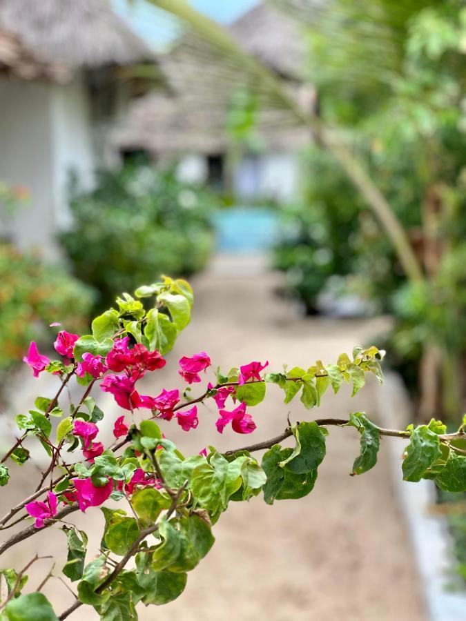Jambiani White Sands Bungalows Εξωτερικό φωτογραφία