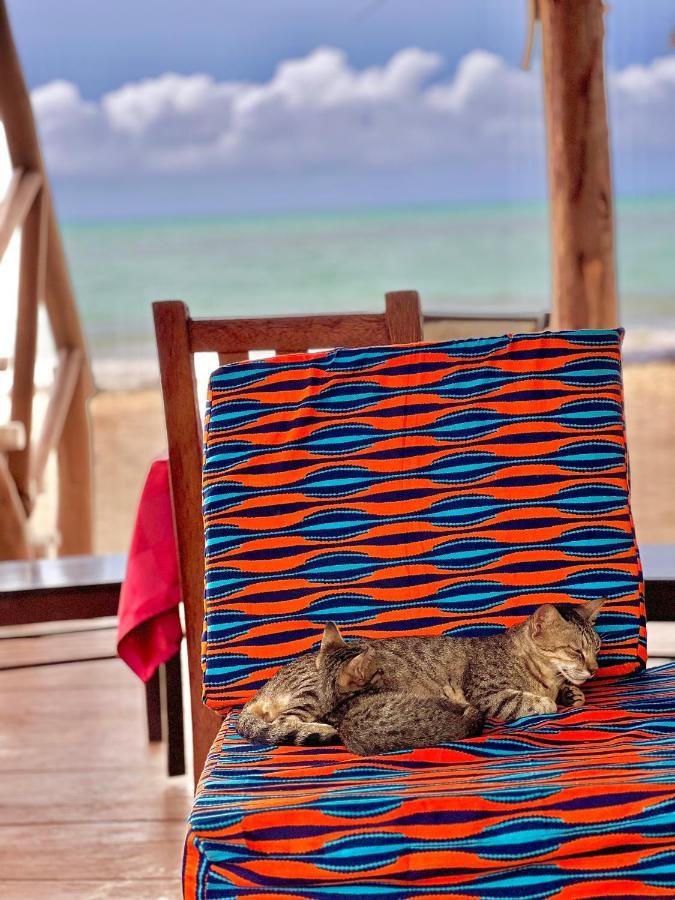 Jambiani White Sands Bungalows Εξωτερικό φωτογραφία