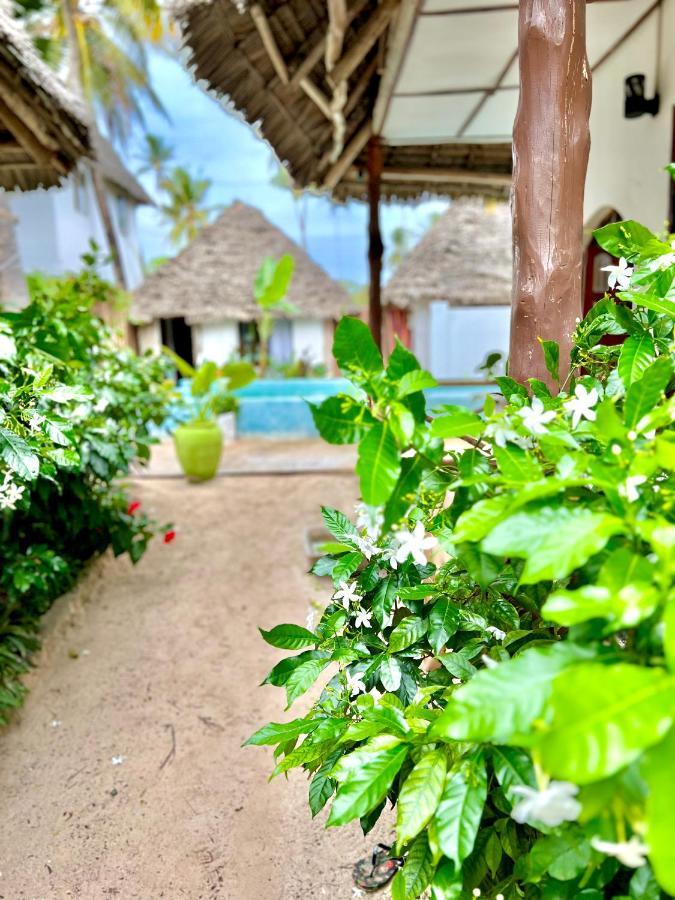 Jambiani White Sands Bungalows Εξωτερικό φωτογραφία